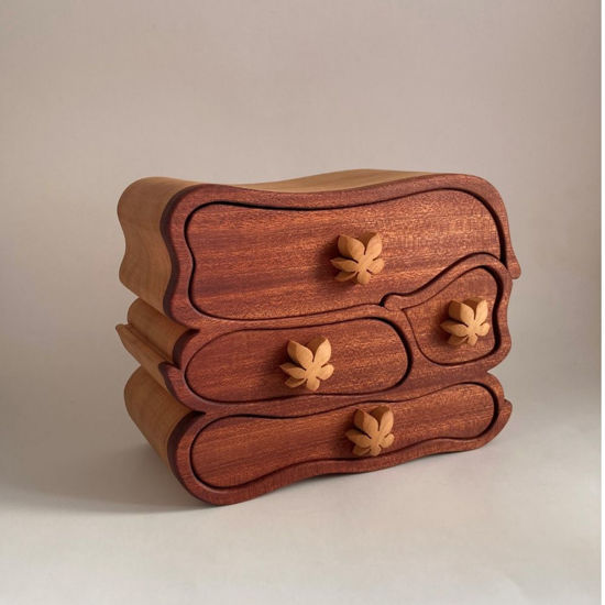 Picture of Bandsaw Box-My Rustic Wardrobe