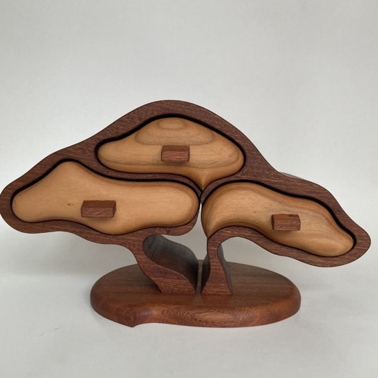 Picture of Bandsaw Box-Bonsai Tree